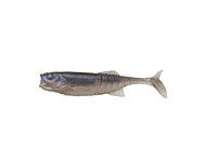 Savage Gear Ned Minnow Savage Gear Ned Minnow