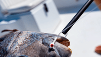 Bubba Small Hook Extractor Bubba Small Hook Extractor
