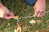 Coghlan's 10" Nail Pegs Coghlan's 10" Nail Pegs