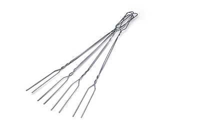 Coghlan's 20" Toaster Forks