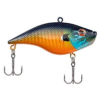 Berkley Warpig Junior Berkley Warpig Junior