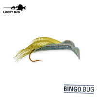 Lucky Bug Bingo Bug #8 / Pumpkin