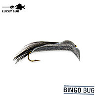 Lucky Bug #6 Bingo Bug