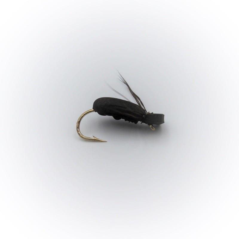 Dry Flies - Easy Beetle