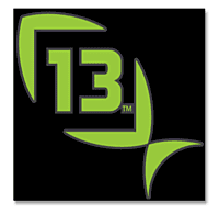 13 Fishing Decal - Medium 13 Fishing Decal - Medium