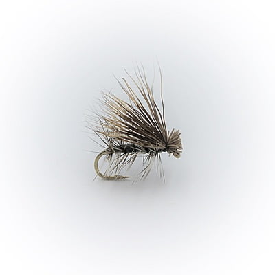 Dry Flies - Grey Elk Caddis