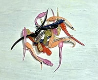 True North Baits - 'Lil Swimmer True North Baits - 'Lil Swimmer