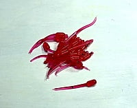 True North Baits - 'Lil Swimmer True North Baits - 'Lil Swimmer