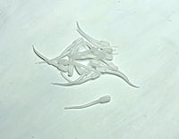 True North Baits - 'Lil Swimmer True North Baits - 'Lil Swimmer