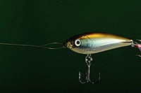 Knot 2 Kinky Leader Wire Knot 2 Kinky Leader Wire