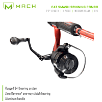 Lew's CAT Smash Spinning Combo