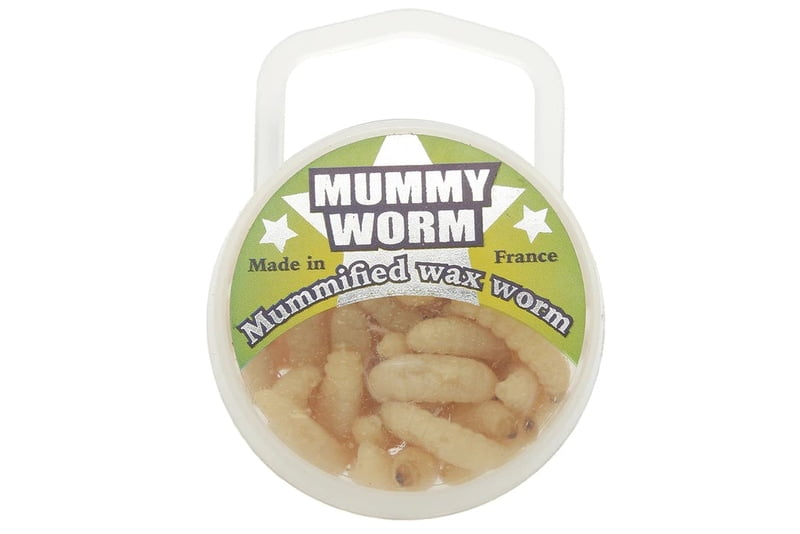 EuroTackle Mummy Worm