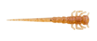 Berkley PowerBait Ice Swordtail Berkley PowerBait Ice Swordtail