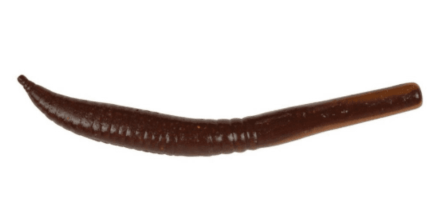Berkley Gulp! Killer Crawler Berkley Gulp! Killer Crawler