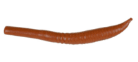 Berkley Gulp! Killer Crawler Berkley Gulp! Killer Crawler