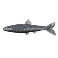 YUM Ned Minnow YUM Ned Minnow