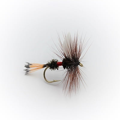 Dry Flies - Royal Coachman