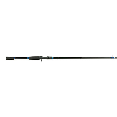 Savage Gear 8'6 Squad Musky Casting Rod, 1+1-Piece High Modulus Carbon  Fishing Rod, EVA Handle, Quality Guides, 40-80lb Line Rating, Heavy Power