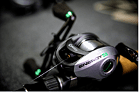 Quantum Energy Baitcast Reel