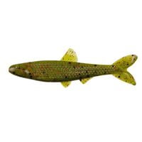 YUM Ned Minnow YUM Ned Minnow