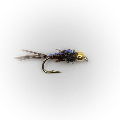 4 Bead Head Scud Scuds. Bead Head Nymphs. Colorado Trout Flies. Fly Fishing  Flies. Barbless. Gammarus. BH Scud. -  Canada