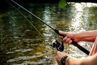 Shakespeare Ugly Stik GX2 Spinning Combo Shakespeare Ugly Stik GX2 Spinning Combo