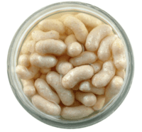 Berkley Gulp Alive Maggots Berkley Gulp Alive Maggots