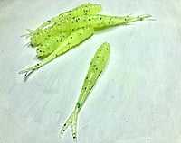 True North Baits - Spikes True North Baits - Spikes