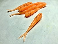 True North Baits - Spikes True North Baits - Spikes