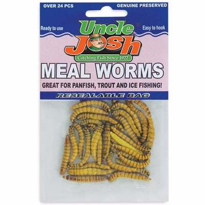 Meal Worm - 36 Baits