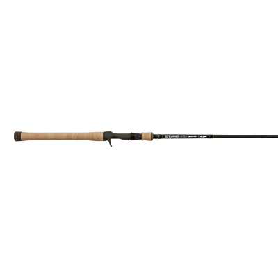 Savage Gear 8'6 Squad Musky Casting Rod, 1+1-Piece High Modulus Carbon  Fishing Rod, EVA Handle, Quality Guides, 40-80lb Line Rating, Heavy Power