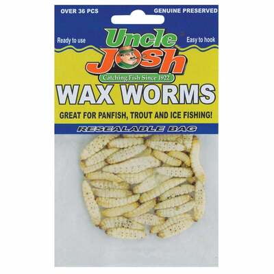 Wax Worm - 36 Baits