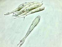 True North Baits - Spikes True North Baits - Spikes